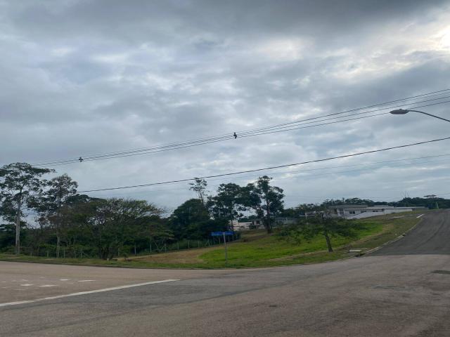 Venda em Colônia - Jundiaí